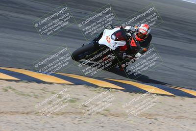 media/Mar-10-2024-SoCal Trackdays (Sun) [[6228d7c590]]/2-Bowl (10am)/